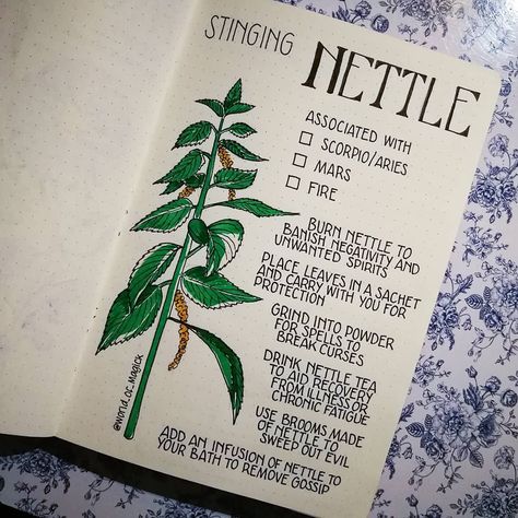 Herb Journal, Magickal Herbs, Magia Das Ervas, Journal Inspiration Writing, Green Witchcraft, Stinging Nettle, Plant Journal, Grimoire Book, Magic Herbs