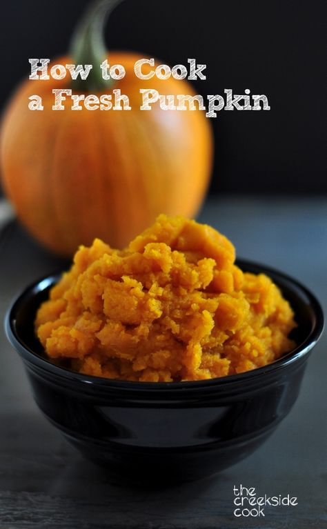 Almost time for Thanksgiving - cook a pumpkin to use for pies, muffins, cakes and cookies.  It's easy!  How to Cook a Fresh Pumpkin - The Creekside Cook Cook Fresh Pumpkin, Cook Pumpkin, Fresh Pumpkin Pie, Cooking Pumpkin, Fresh Pumpkin, Cakes And Cookies, Pumpkin Dessert, Canning Recipes, Pumpkin Recipes