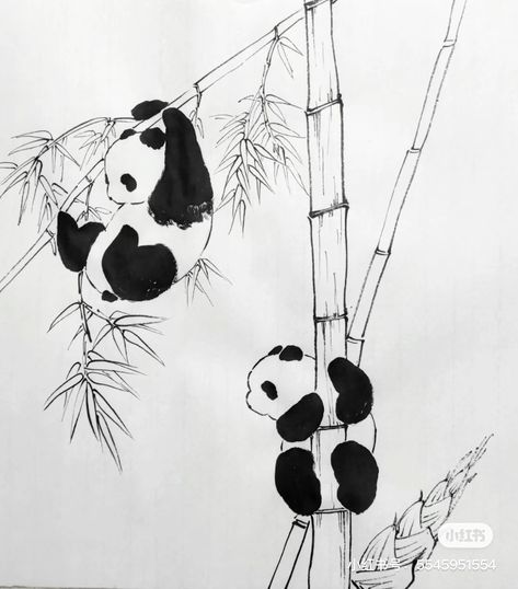 Panda Project, Panda Craft, Postcard Ideas, Panda Illustration, Panda Drawing, Painting Animals, Drawing Body Poses, Asian Painting, Chinese Ink