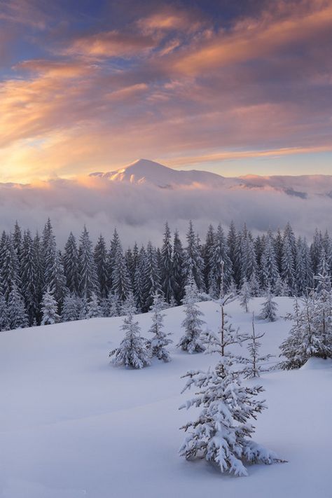 *** by Oleksandr Kotenko #WinterLandscape Winter Scapes, Winter Schnee, Snowy Landscape, Winter Vibes, Winter Magic, Winter Scenery, Winter Beauty, Snow Scenes, Winter Pictures