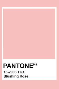 900+ Sweet Pantone Fashion & Home TCX Colors ideas in 2022 | pantone, pantone colour palettes, pantone palette Light Pink Pantone Colour Palettes, Pastel Pink Colour Palette, Blush Pink Pantone, Light Pink Pantone, Pantone Rosa, Pantone Paint, Pantone Rose, Pink Pantone, Pantone Tcx