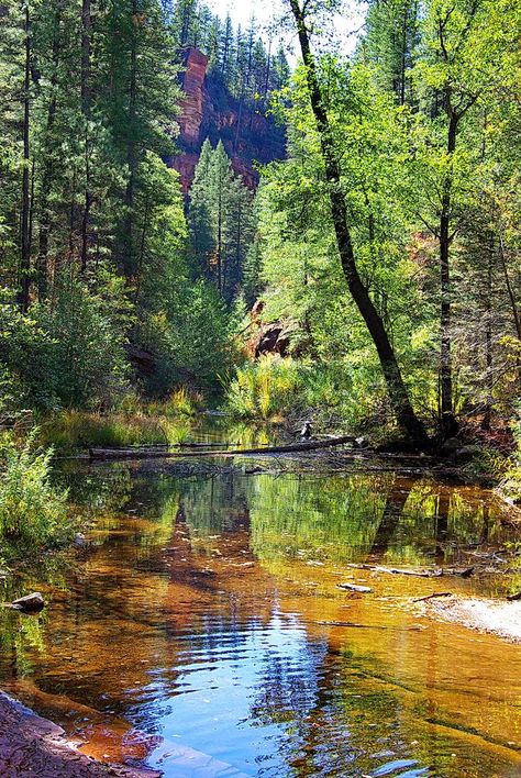 Oak Creek Canyon, Arizona Hiking, Nature Scenes, Sedona, Amazing Nature, Nature Pictures, Nature Photos, Beautiful World, Beautiful Landscapes