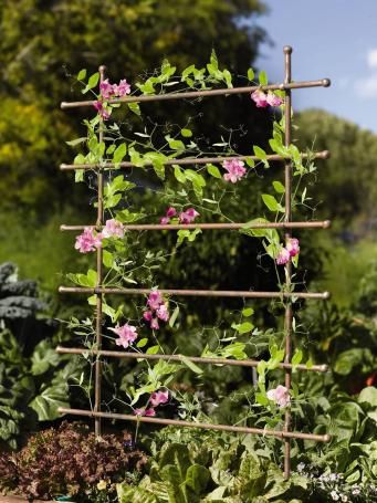 Jardin Ladder Trellis: Gardenista Garden Trellis Panels, Ladder Trellis, Garden Ladder, Arbors Trellis, Garden Kneeler, Rose Trellis, Trellis Panels, Bamboo Garden, Tomato Cages