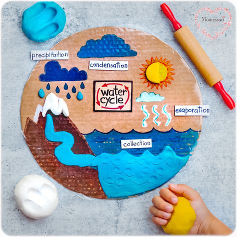 WATER CYCLE Kids Activities | Montessori From The Heart Water Circle Project, Watercycle Kids Project, Water Cycle Project Poster, Water Cycle Craft, Water Cycle Model, Water Cycle Poster, Water Cycle Project, Water Circle, Water Cycle Activities