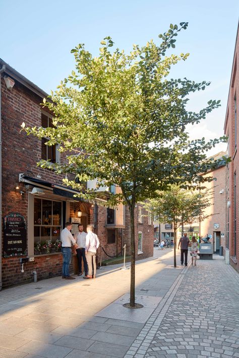 Altrincham - THE Modern Market Town | The Dots Alleyway Design, Urban Courtyards, Streetscape Design, Modern Market, Urban Design Concept, Urban Tree, Landscape Architecture Drawing, Urban Landscape Design, Street Trees