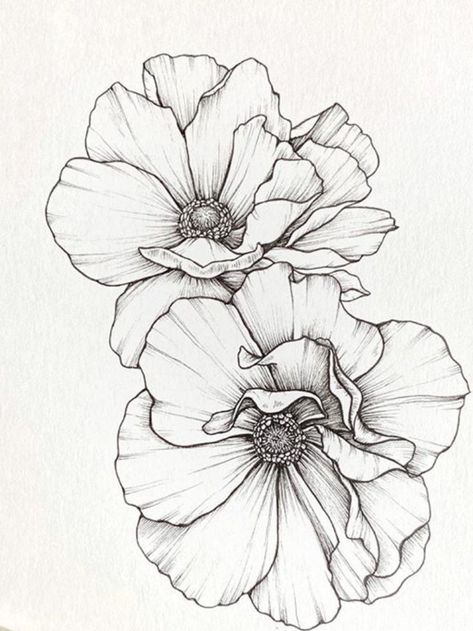 Flower Line Drawings, Flower Art Drawing, Flower Sketches, Floral Drawing, Line Drawings, Suzhou, Flower Art Painting, Pencil Art, Art Drawings Sketches