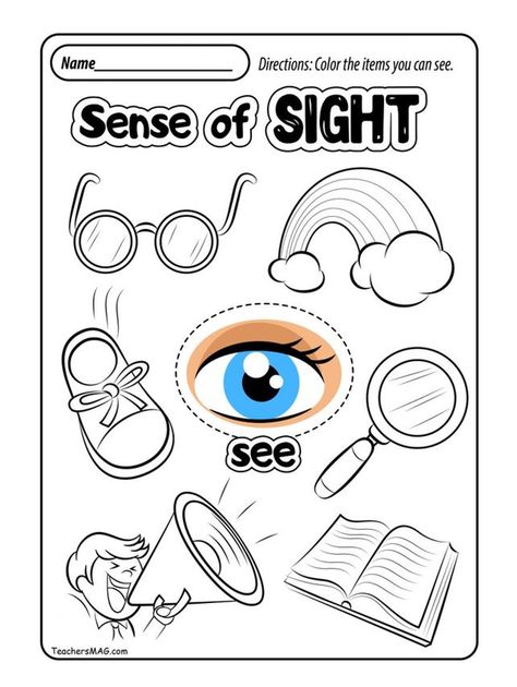 Have your child color the pictures that use the sense of sight. Five Senses Preschool Printables Free, Five Senses Kindergarten, Senses Activity, 5 Senses Preschool, 5 Senses Worksheet, Five Senses Worksheet, Five Senses Preschool, Preschool Activity Sheets, 5 Senses Activities