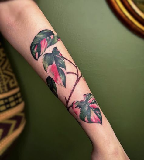 Philodendron Tattoo, Pansy Tattoo, Botanical Tattoo Design, Canada Tattoo, Earthy Tattoos, Tattoo 2024, Philodendron Pink Princess, Arm Tats, Princess Tattoo