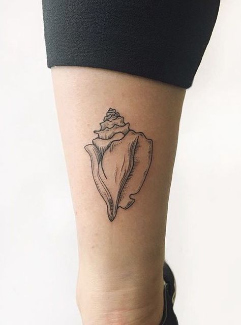 Conch Shell Tattoo, Shell Tattoo, Florida Tattoos, Hawaii Tattoos, Seashell Tattoos, Shell Tattoos, Petit Tattoo, Tattoo Pictures, Leg Sleeve