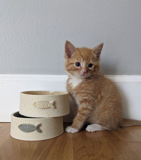 Ceramic Cat Bowl l Custom Ceramic Kitten Bowl l Pet Bowl l Custom Pet Bowl l Personalized Pet Bowl l Ceramic Bowl l Ceramic Cat Bowls, Cute Dog Bowls, Ceramic Cat Bowl, Chat Diy, Cat Water Bowl, Ceramic Dog Bowl, Cat Dishes, Cerámica Ideas, Clay Bowl