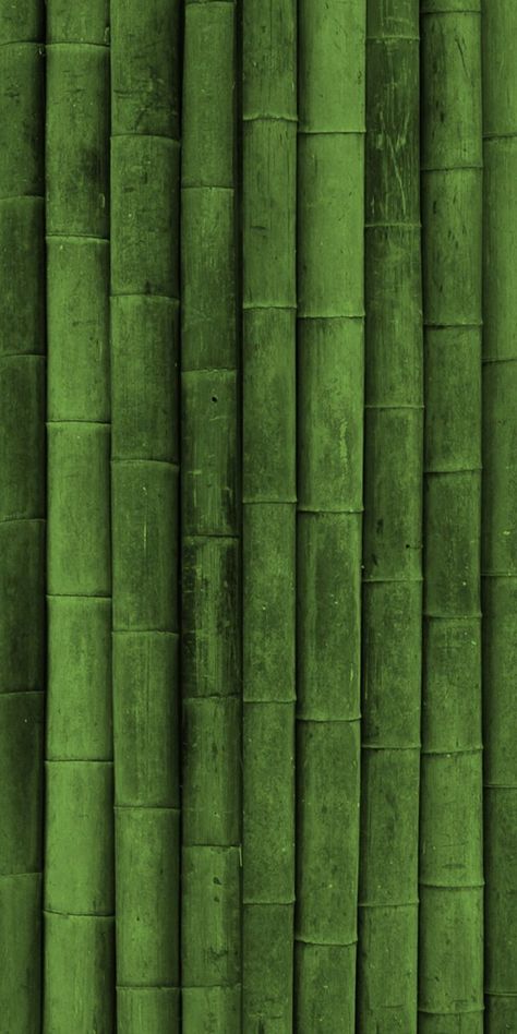 Bamboo Textures - [720x1440] download and share beautiful image in best available resolution. Iphone Wallpaper Army, Olive Green Wallpaper, Wallpaper Plain, Dark Green Wallpaper, Bamboo Texture, Wallpaper Homescreen, Easter Wallpaper, Green Iphone, Wallpaper Green