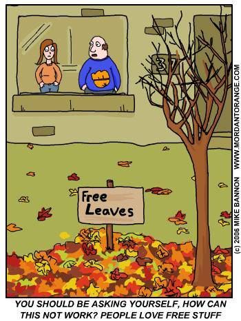 Happy first day of fall! This'll work - right? Fall Clean Up, Fall Humor, Funny Cartoon Pictures, Celebrating Life, Lawn Maintenance, Snow Removal, Sarcasm Humor, Holiday Humor, Young At Heart