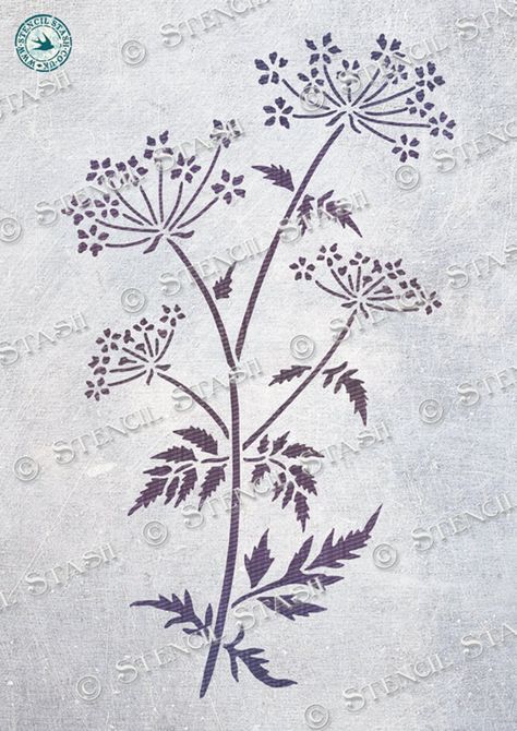 Parsley Flower, Pretty Mandala, Diy Stencils, Wild Meadow, Cow Parsley, Plaster Crafts, Leaf Stencil, Star Stencil, Flower Art Drawing