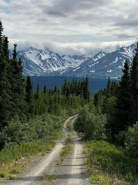 Alaska 📷:Sarah Woolley Alaska Cottage, Alaska Lifestyle, Alaska Scenery, Summer In Alaska, Alaskan Summer, Alaska Aesthetic, Soldotna Alaska, Alaskan Homes, Alaska Landscape