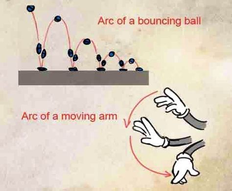 Arc Animation Principle, Arcs In Animation, Animation Guidelines, Arc Animation, Principle Of Animation, Animation Guide, 12 Principles Of Animation, Animation Walk Cycle, Animation Mentor