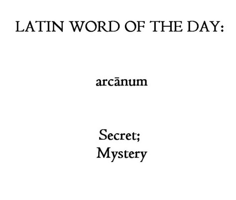 Latin Quotes, Latin Language, Latin Phrases, Uncommon Words, Tumblr Page, Fancy Words, Latin Word, Raven Cycle, Weird Words