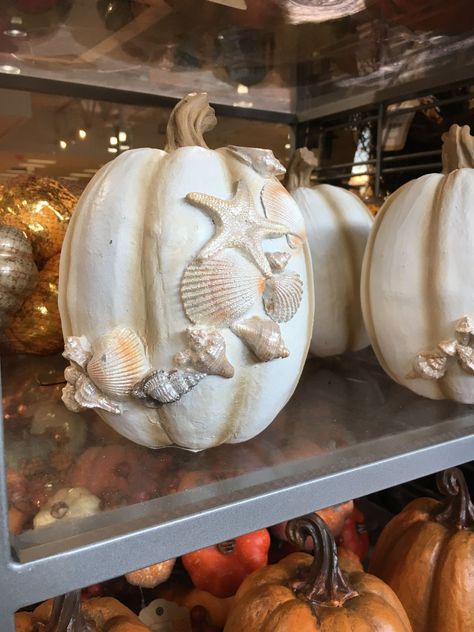 Coastal Beach Pumpkins Ideas | Carved Pumpkins with Sea Life Motif | Blue Painted Pumpkins and more Coastal Pumpkins, Coastal Halloween, Coastal Fall Decor, Beach Halloween, Coastal Fall, Fall Beach, Carved Pumpkins, Coastal Holiday, Target Home