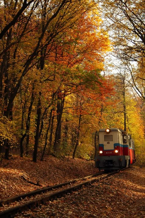 Leaves On The Ground, Photo Dream, Autumn Scenes, Autumn Scenery, Autumn Beauty, Fall Pictures, Train Tracks, Autumn Cozy, Lombok