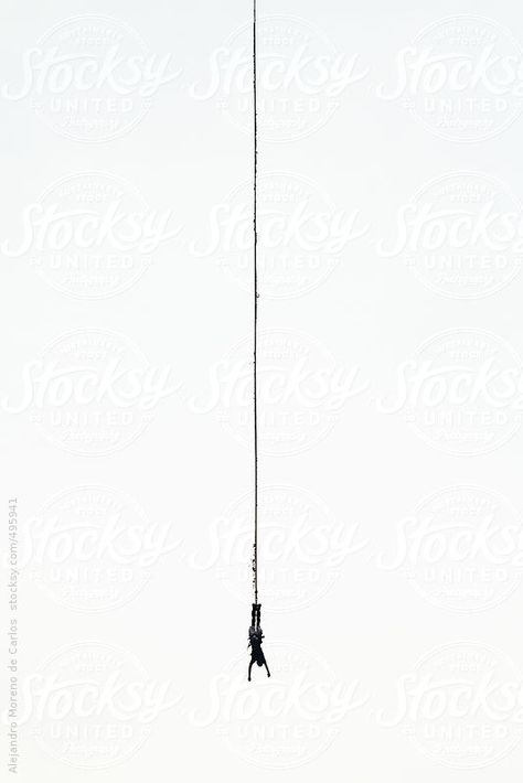 Silhouette of a man bungee jumping with white background by Alejandro Moreno de Carlos  #sport #jump #bungeejump Cliff Jumping Tattoo, Men’s Line Work Tattoo, Bungee Jumping Tattoo, Bunji Jumping Aesthetic, Jump Tattoo, Cigerate Wallpaper, Jumping Tattoo, Jump Art, Straight Line Tattoo