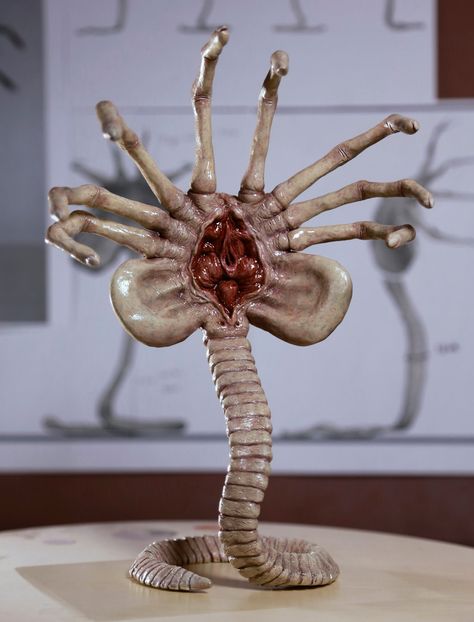 fuckyeahxenomorphs:Alien Facehugger Front View by FUVL Xenomorph Facehugger, Facehugger Alien, Alien Facehugger, Conquest Of Paradise, Giger Alien, Giger Art, Super Sculpey, Alien 1979, Alien Artwork