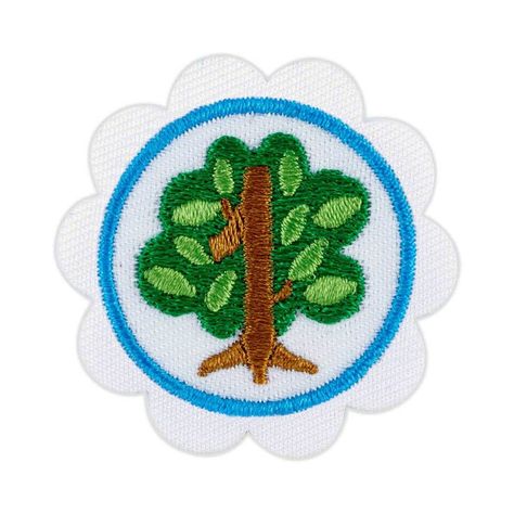 Shapes In Nature Badge, Math In Nature, Girl Scout Badges Requirements, Shapes In Nature, Nature Activity, Daisy Patches, Girl Scout Badges, Girl Scout Daisy, Troop Leader