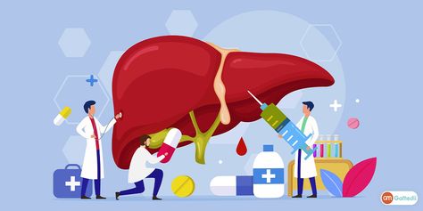 Liver Transplant Surgery In India Internist Medical, Liver Illustration, Liver Function Test, People Design, Biology Art, Vector People, Medical Doctor, Medical Tourism, Healthy Liver