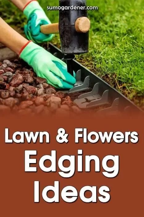 Flower Bed Edging Ideas, Bed Edging Ideas, Flower Bed Edging, Sitting Areas, Small Water Features, Lawn Care Tips, Diy Raised Garden, Edging Ideas, Lawn Edging