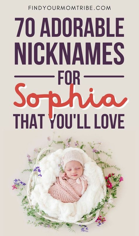 Looking for the sweetest nicknames for your little princess? Here is a list of adorable nicknames for Sophia that'll make you smile! Sophia Name, Cute Nicknames, Breastfeeding And Pumping, Parenting Advice, You Smile, Little Princess, Make You Smile, Baby Names, To My Daughter