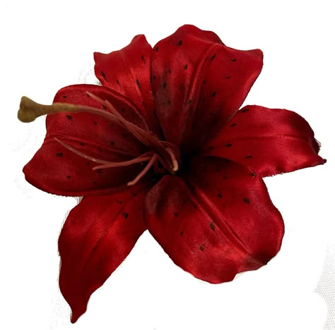 This is a beautiful 5 inch large lily hair flower. This burgundy bloom has an alligator clip on the back. This is a big flower that is sure to gain attention. So bold, so beautiful! Round Lake, Hair Flower, Tiger Lily, Lily Flower, Dark Red, Clip On, Alligator, Lily, Red