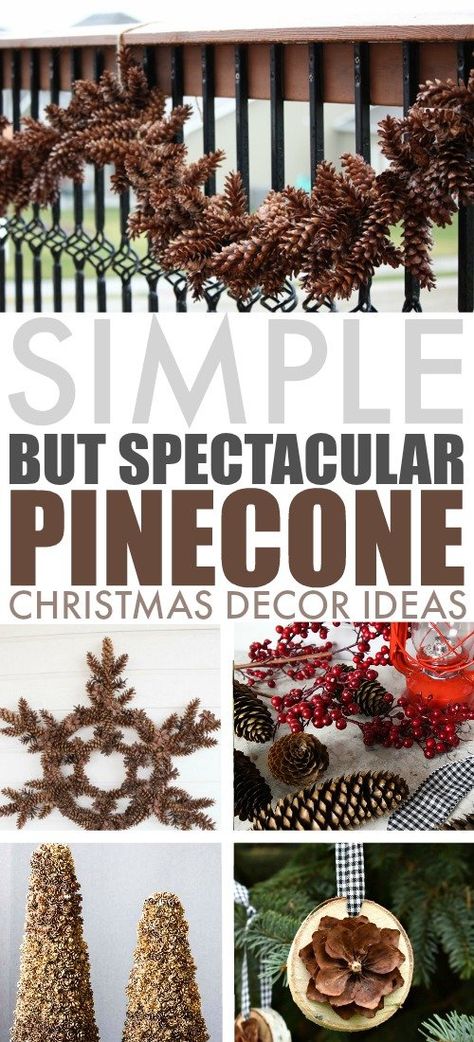 Pinecone Stars, Pinecones Crafts, Pinecone Projects, Hunting House, Christmas Pinecones, Pinecone Art, Pine Cone Christmas Decorations, Pinecone Crafts Christmas, Pinecone Christmas