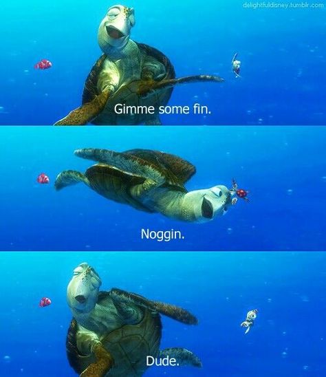 Celebrations  Squirt: Whoa! That was so cool! Hey dad! Did you see that? Did you see me? Did you see what I did? Crush: You so totally rock, Squirt! So gimme some fin. [They slap fins] Crush: Noggin'. [bump heads] Crush, Squirt: Dude! Disney Amor, Pixar Movies, A Turtle, Finding Nemo, To Infinity And Beyond, Disney Quotes, Disney And Dreamworks, Look At You, Disney Love