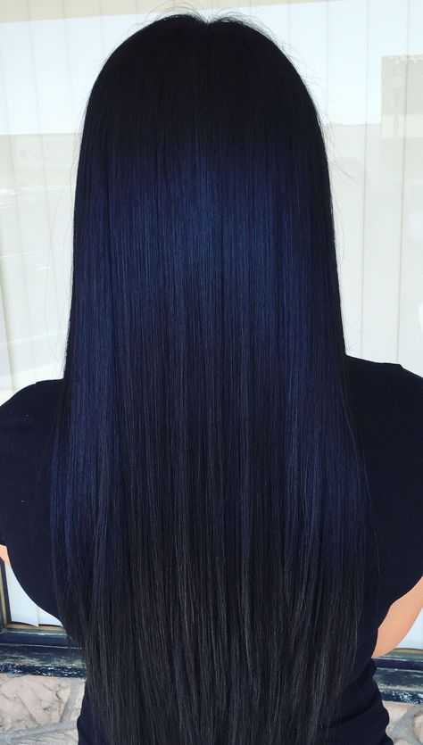 Dark Blue Hair On Black Hair, Black Hair With Blue Tint Dark, Dark Hair Blue Tint, Blue Jet Black Hair, Midnight Blueberry Black Hair, Long Black Blue Hair, Black Indigo Hair, Dark Royal Blue Hair, Darkest Blue Hair