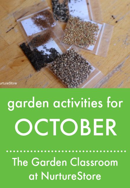 School Garden Club Activities, Gardening Club Ideas For Kids, Garden Club Activities, Kids Gardening Activities, Seed Activities For Kids, Fall Garden Prep, Montessori Jobs, Activities For October, School Garden Club