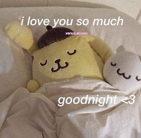 Good Night Wholesome, Memes Cute, Miss You So Much, Inlove Cute Pics, Sleep Well Cute, Your So Cute, Good Night Meme Cute, Love Memes Cute, Cute Good Morning Meme