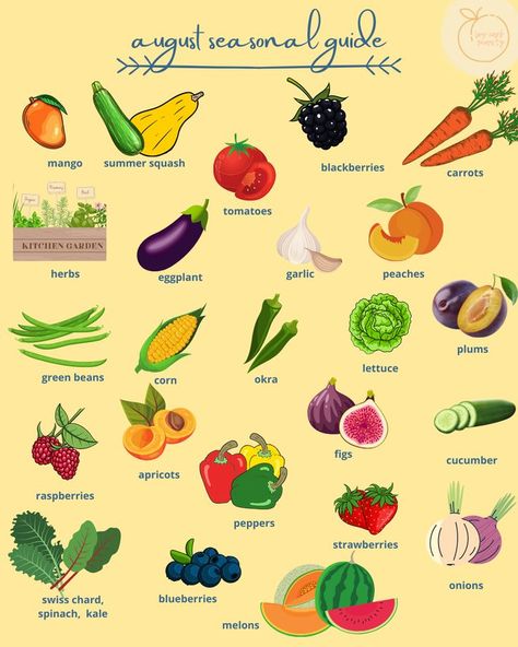 Your guide to all the produce that is in season for August. Seasonal Produce Guide, Life Skills Class, Summer Produce, Seasonal Produce, Seasonal Food, In Season Produce, Fruit In Season, Seasonal Recipes, Plant Mom