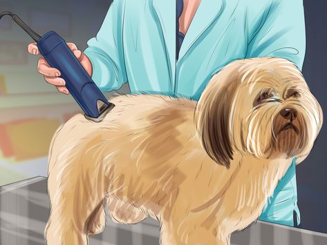 Dog Grooming Shih Tzu, Shih Tzu Puppy Cut, Shih Tzu Haircuts, Pet Grooming Salon, Shih Tzu Grooming, Dog Grooming Clippers, Puppy Grooming, Dog Clippers, Dog Hotel