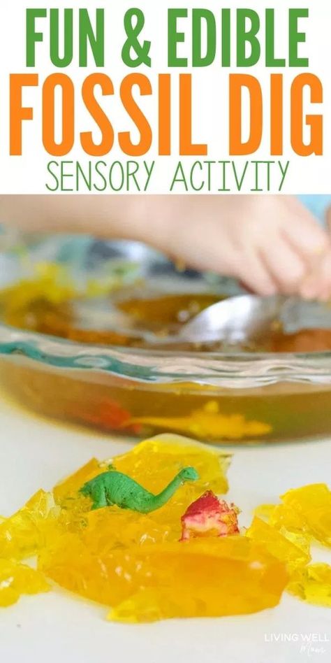 Dig for dinosaurs with this fun Jello "fossil" dig sensory kids' activity! Plus it's edible too! #sensoryactivities #kidsactivities #kidsactivity Dinosaur Crafts Kids, Creative Kids Crafts, Homeschool Crafts, Toddler Classroom, Sensory Activity, Dinosaur Activities, Dinosaur Crafts, Sensory Table, Kids Sensory