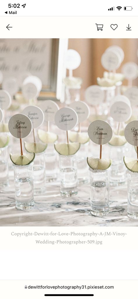 Tequila Shots Ideas, Wedding Drink Ideas, Party Shots, Tropical Bridal Showers, Tulum Wedding, Luxury Photography, Tequila Shots, St Petersburg Florida, Seating Plan Wedding