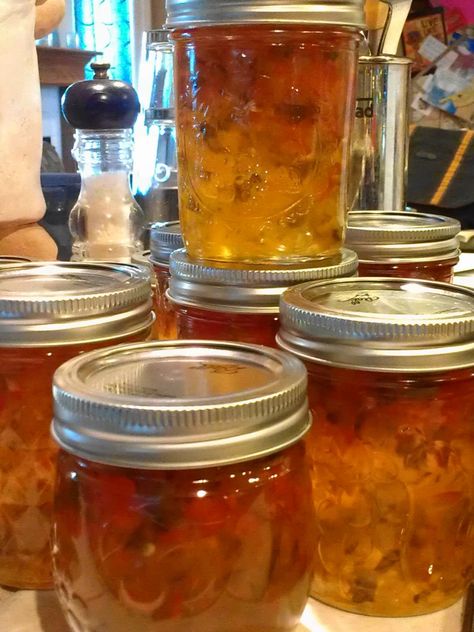 Hot Pepper Tequila Jelly « Eliot's Eats Moonshine Jelly Recipe, Habenero Jelly, Best Pepper Jelly Recipe, Cranberry Pepper Jelly Recipe, Pepper Ideas, Apple Beer, Dehydrator Recipes Fruit, Garden Canning, Jelly Of The Month Club