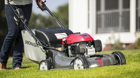 8 Best Lawn Mowers 2023; Isn't Working (And How To Fix It) Dethatching Lawn, Self Propelled Mower, Best Lawn Mower, Mowers For Sale, Robotic Lawn Mower, Walk Behind Mower, Push Lawn Mower, Push Mower, Deck Size