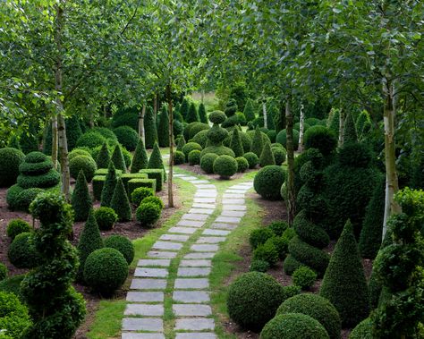 Topiary: 15 ways to use clipped evergreens in gardens | Homes & Gardens Small Topiary Garden, Topiary Garden Landscaping, Cloud Pruning, Garden Topiary, Laurel Hedge, Outdoor Topiary, Topiary Diy, Boxwood Garden, Spiral Tree