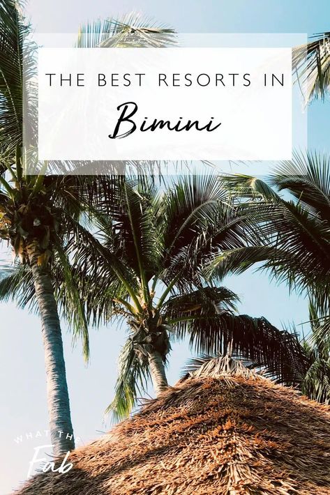 Bimini Islands, Best Beaches In Maui, Bahamas Resorts, Luxurious Pool, Wanderlust Photography, Beach Lounge, Bahamas Vacation, Honeymoon Resorts, Fishing Adventure