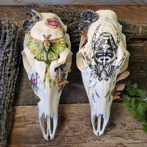 Bone Painting Art, Decoupage Animal Skull, Whimsigoth Artwork, Bones Display, Painted Bones, Painting Skulls, Painted Animal Skulls, Animal Skull Decor, Deer Skull Art