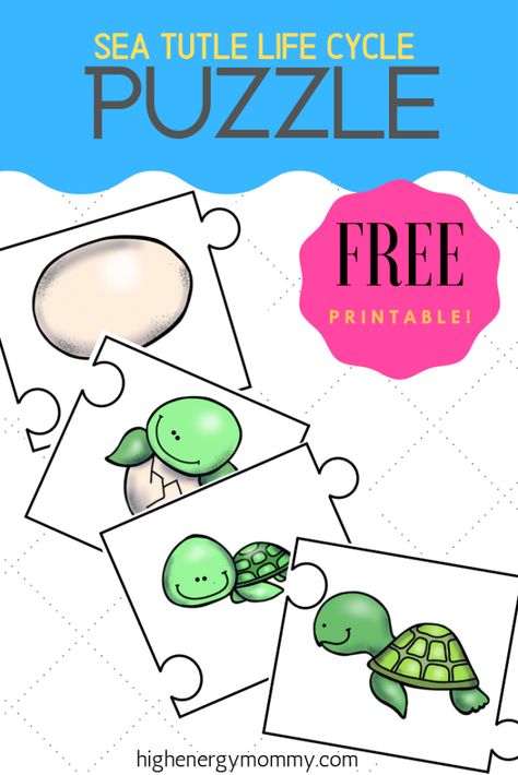 Sea Turtle Life Cycle Craft, Turtle Activities For Kindergarten, Turtle Life Cycle Preschool, Preschool Turtle Activities, Sea Turtle Preschool, Turtle Activities For Toddlers, Turtle Activities For Preschool, Turtle Preschool, Fun Learning Activities For Preschoolers