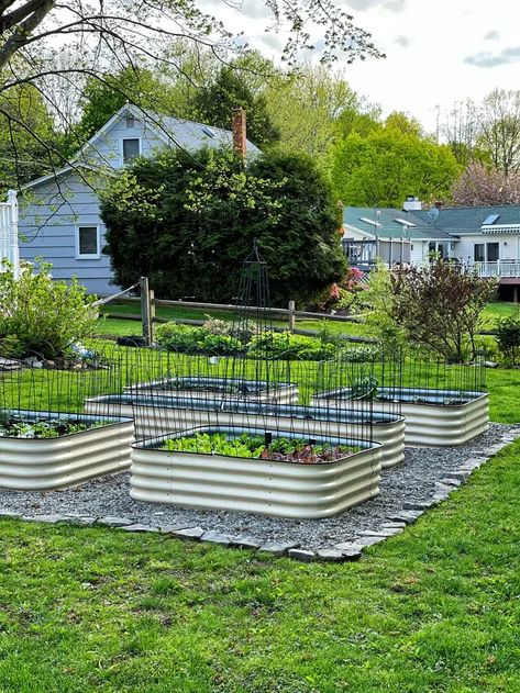 My New Raised Garden Bed for Vegetables - Stacy Ling Watering Raised Garden Beds, Backyard Goals, Garden Patios, Garden Bed Layout, Vegetable Garden Beds, Building Raised Garden Beds, Building A Raised Garden, Grow Vegetables, Raised Garden Beds Diy