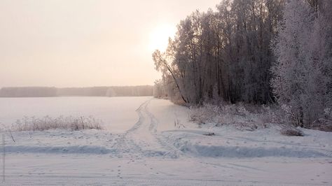 Snowy Valley, Kingdom Inspiration, Snowy Pictures, Painting References, Winter Forest, Screen Savers, Forest, Lost, Road