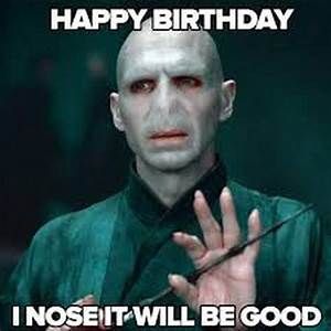 harry potter birthday meme - Yahoo Image Search Results Harry Potter Happy Birthday, Birthday Meme Dog, Harry Potter Birthday Meme, Harry Potter Happy, Harry Potter Book Quotes, Happy Birthday Google, Slytherin Funny, Happy Birthday Harry Potter, Funny Happy Birthday Meme