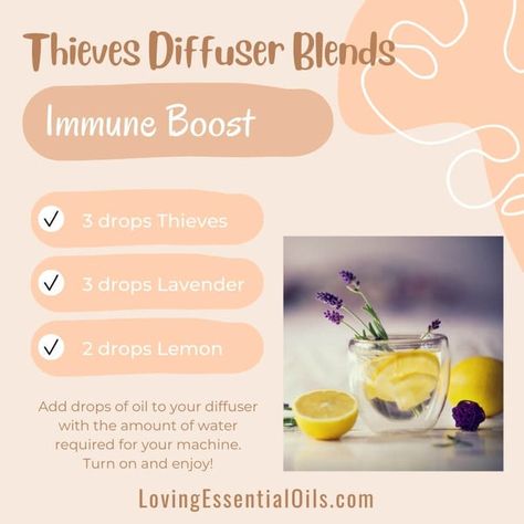 Immune Boost Diffuser Blend, Immune Boosting Essential Oil Blends, Thieves Blends For Diffuser, Thieves Essential Oil Diffuser Blends, Immune Boosting Diffuser Blends, Thieves Diffuser Blends, Thieves Diffuser Blend, Immunity Recipes, Thieves Cleaning