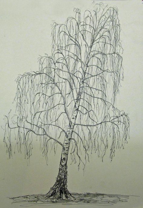 Druid Inspiration, Birch Tree Drawing, Trees Art Drawing, Birch Tree Tattoos, Project Drawing, Drawing Trees, Winter Drawings, Forest Drawing, Birch Tree Art