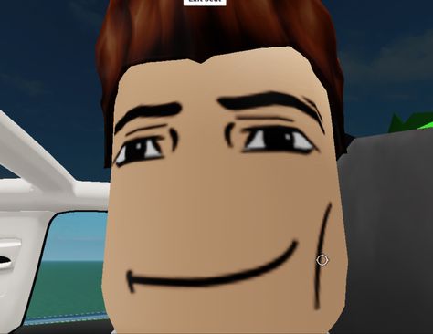 Roblox Face Chad, Roblox Smug Face, Roblox Handsome Face, Roblox Smirk Face Meme, Roblox Man Face Pfp, Roblox Male Face, Roblox Smirk Face, Roblox Smirk, Roblox Memeable Face